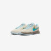 Кросівки Nike LeBron 20 DV9090-801