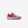 Кросівки Nike Zoom Freak 4 DJ6149-500