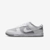 Кросівки Nike Dunk Low Retro DJ6188-003