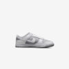 Кросівки Nike Dunk Low Retro DJ6188-003
