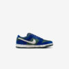 Кросівки Nike SB Dunk Low Pro HF3704-400