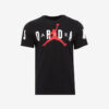 Футболка Jordan Air Stretch DV1445-010