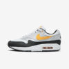 Кросівки Nike Air Max 1 FD9082-104
