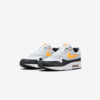 Кросівки Nike Air Max 1 FD9082-104