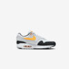 Кросівки Nike Air Max 1 FD9082-104