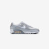 Кросівки Nike Air Max 90 NN Light Smoke Grey FJ4824-001