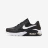 Кросівки Nike Air Max Excee Leather DB2839-002