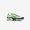 Кросівки Nike Air Max Plus DZ0480-300
