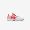 Кросівки Nike LeBron 20 FJ0725 801