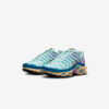 Кросівки W Nike Air Max Plus DZ3671-300