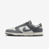 Кросівки Nike Dunk Low Next Nature Iron Grey Lightning FZ4621-001