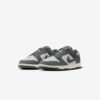 Кросівки Nike Dunk Low Next Nature Iron Grey Lightning FZ4621-001