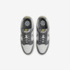Кросівки Nike Dunk Low Next Nature Iron Grey Lightning FZ4621-001