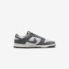 Кросівки Nike Dunk Low Next Nature Iron Grey Lightning FZ4621-001