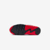 Кросівки Nike Air Max 90 FB9658-001