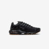 Кросівки Nike Air Max Plus FV0385-001
