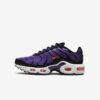 Кросівки Nike Air Max Plus GS CD0609-024