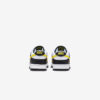 Кросівки Nike Dunk Low Retro FQ2431-001