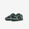 Кросівки Nike SB Dunk Low Pro There Skateboards HF7743-001