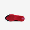 Кросівки Nike Flytrap 6 DM1125-600