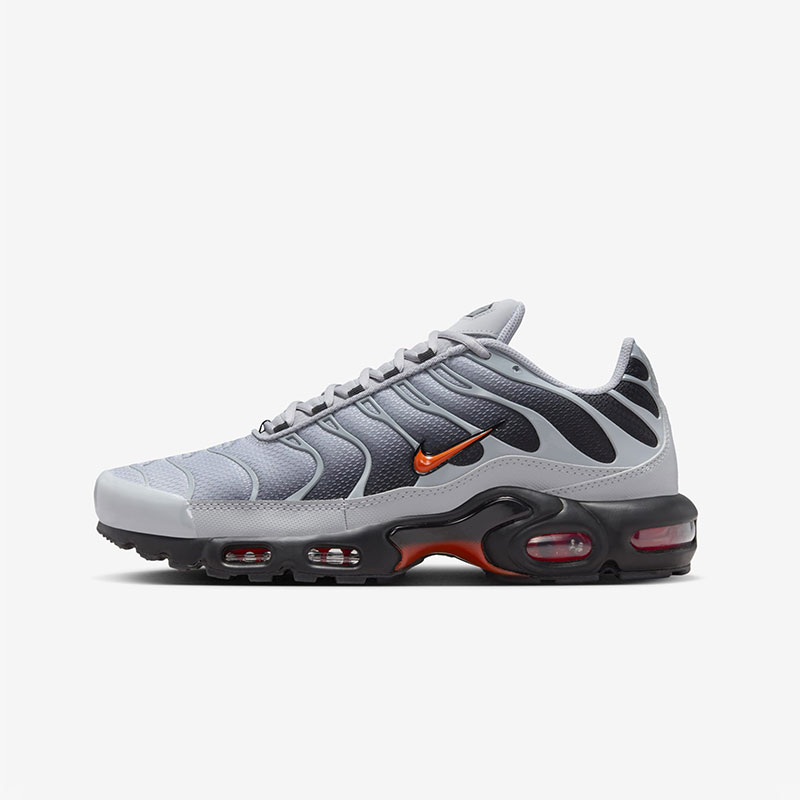 Кросівки Nike Air Max Plus DM0032-011 1 Кросівки Nike Air Max Plus DM0032-011