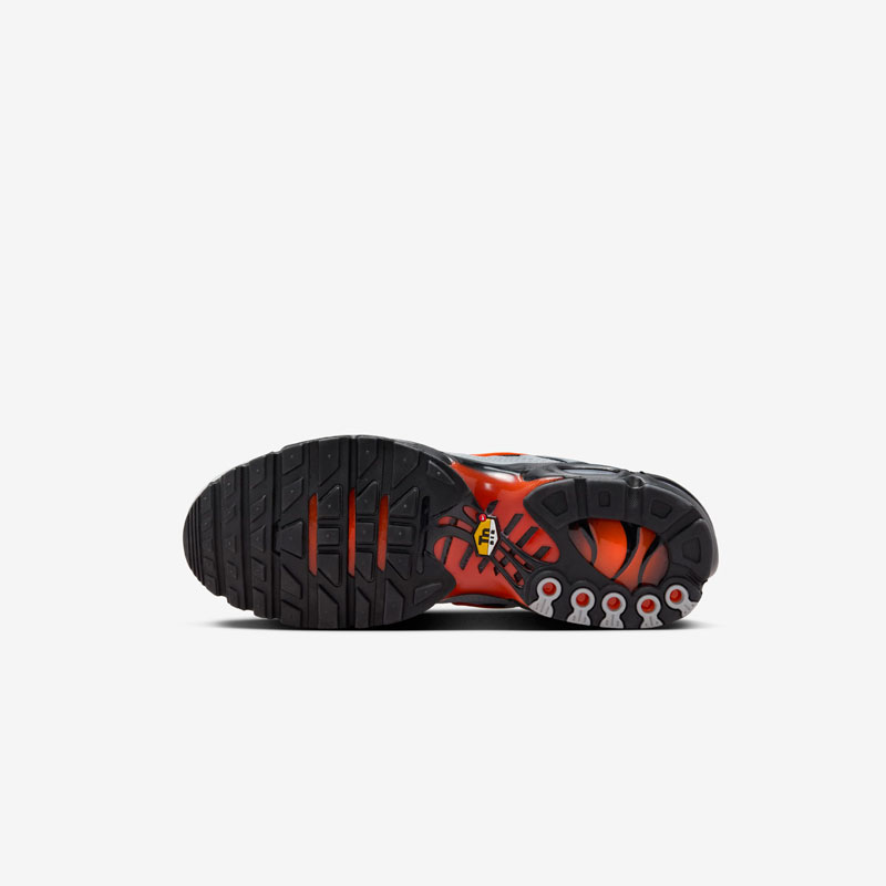 Кросівки Nike Air Max Plus DM0032-011 6 Кросівки Nike Air Max Plus DM0032-011