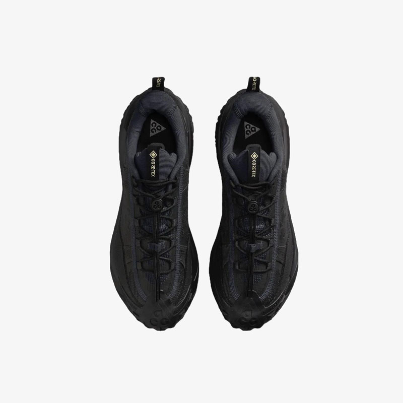 Кросівки Nike ACG Mountain Fly 2 Low GTX HF6245-001 3 Кросівки Nike ACG Mountain Fly 2 Low GTX HF6245-001