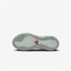 Кросівки Nike ACG Mountain Fly 2 Low GTX HF6245-003