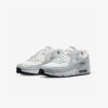 Кросівки Nike Air Max 90 Gore-Tex DJ9779-003