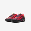 Кросівки Nike Air Max Plus Drift FD4290-003