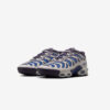 Кросівки Nike Air Max Plus Drift FD4290-007