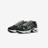 Кросівки Nike Air Max Terrascape Plus DN4590-001