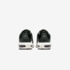 Кросівки Nike Air Max Terrascape Plus DN4590-001
