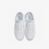 Кросівки Nike Dunk Low DV0831-109