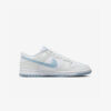 Кросівки Nike Dunk Low DV0831-109