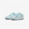 Кросівки Nike Dunk Low DV0833-104