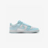 Кросівки Nike Dunk Low DV0833-104