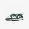 Кросівки Nike Dunk Low DV0833-111