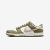 Кросівки Nike Dunk Low FQ8250-200