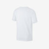 Футболка Nike Dri-Fit Tee AR6029-100