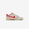 Кросівки Nike Dunk Low FJ5429-133