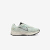 Кросівки Nike W Zoom Vomero 5 FN6742-001