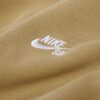Худі Nike SB Skate Hoodie FV7351-297