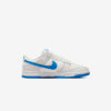 Кросівки Nike Dunk Low