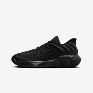Кросівки Nike Giannis Immortality 4 "Total Black" FQ3680-003