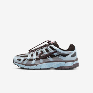 Кросівки Nike W P-6000 "Blue Brown" HV2521-400