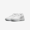 Кросівки Nike Zoom LeBron NXXT Gen AMPD FJ1566-102