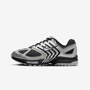 Кросівки Nike Air Pegasus 2K5 "Metallic Silver" HQ5403-001
