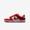 Кроссовки Nike W Dunk Low 
