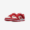 Кроссовки Nike W Dunk Low 